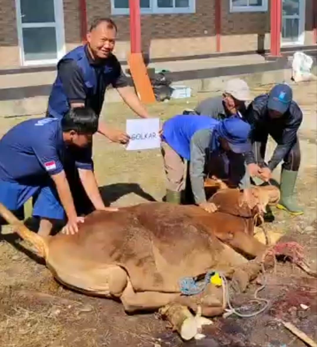 Amanah Zakat Gagas Program "Qurban Berkelanjutan" Lewat Sinergi Pesantren dan Peternakan